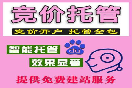 案例展示：百度推广代理助力企业拓展海外市场